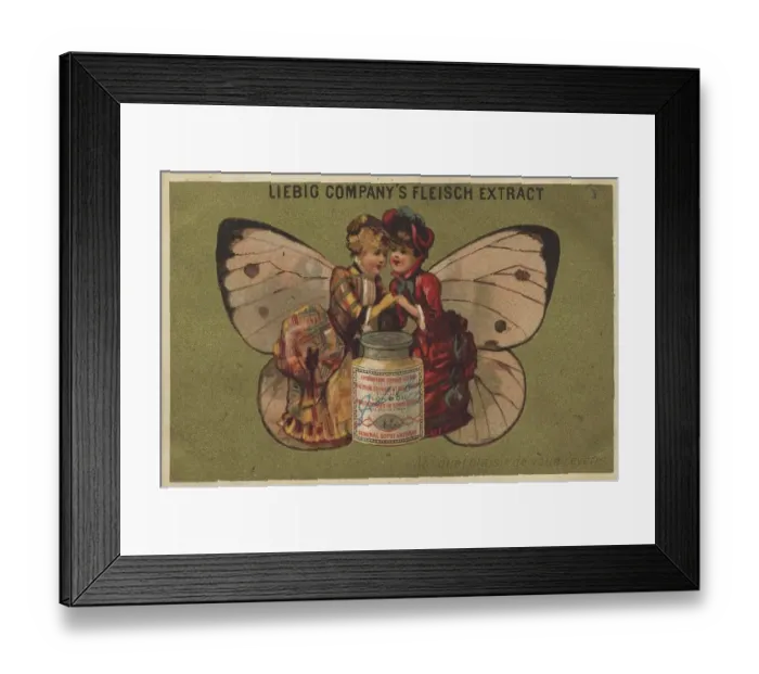Framed Print : Picture series butterflies 1, cabbage white butterfly