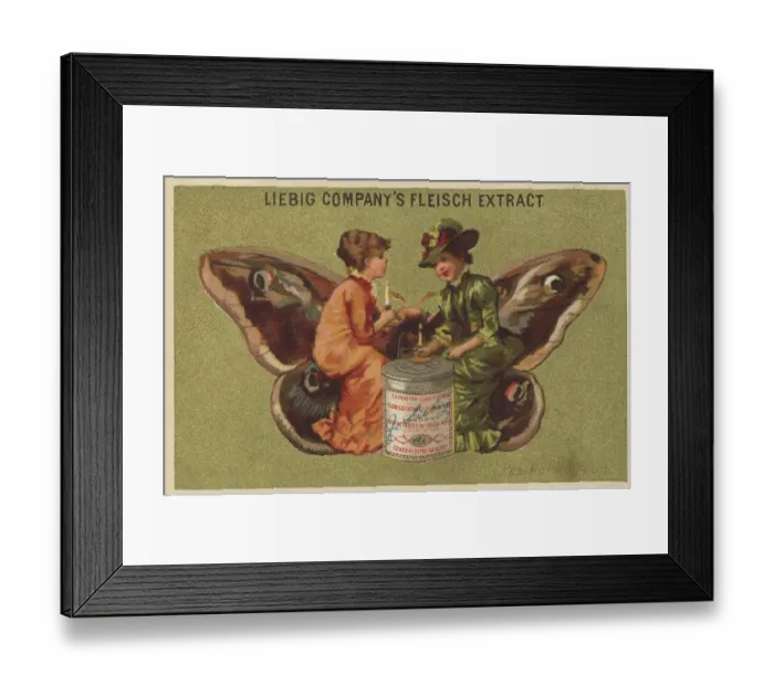 Framed Print : Picture series butterflies 1, night peacock butterfly Framed Print : Picture series butterflies 1, night peacock butterfly