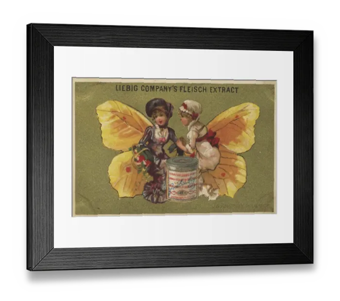 Framed Print : Picture series Butterflies 1, Lemon butterfly Framed Print : Picture series Butterflies 1, Lemon butterfly