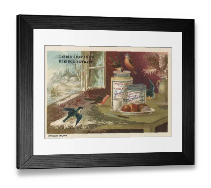 Framed Print : Picture series Birds in Situations