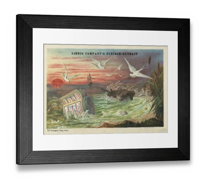 Framed Print : Series of pictures Birds in Situations