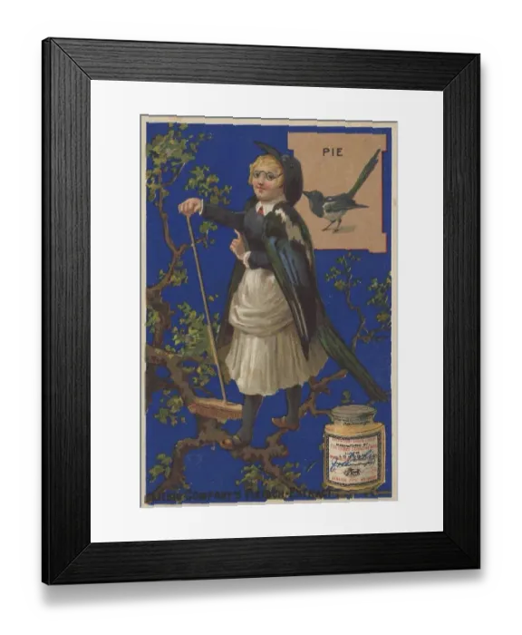 Framed Print : Picture series Birds 1, magpie and a woman standing in a tree with a broom Framed Print : Picture series Birds 1, magpie and a woman standing in a tree with a broom