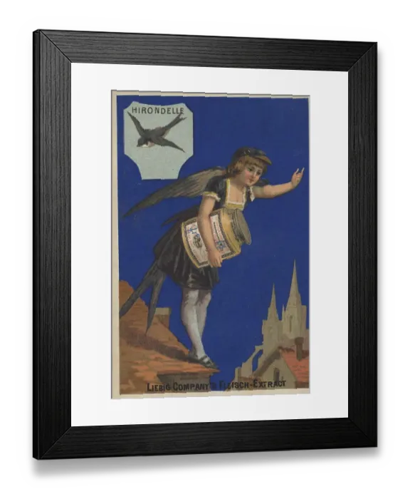 Framed Print : Picture series Birds 1, Swallow and a woman with swallow feathers on a roof Framed Print : Picture series Birds 1, Swallow and a woman with swallow feathers on a roof