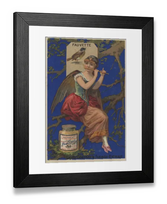 Framed Print : Series of pictures Birds 1, warbler and a woman with wings