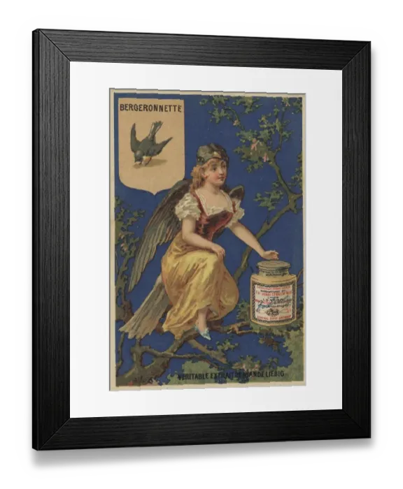 Framed Print : Series of pictures Birds 1, wagtail and a woman with wings sitting in a tree