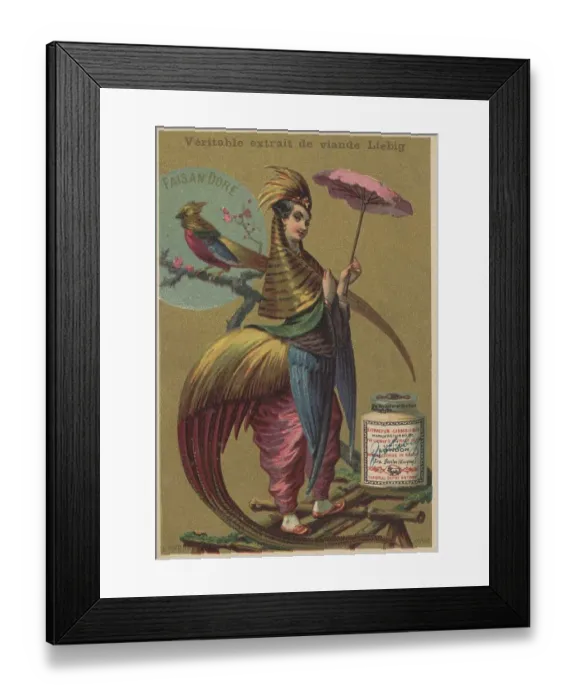 Framed Print : Picture series Birds 2, Golden pheasant and a woman adorned with pheasant feathers