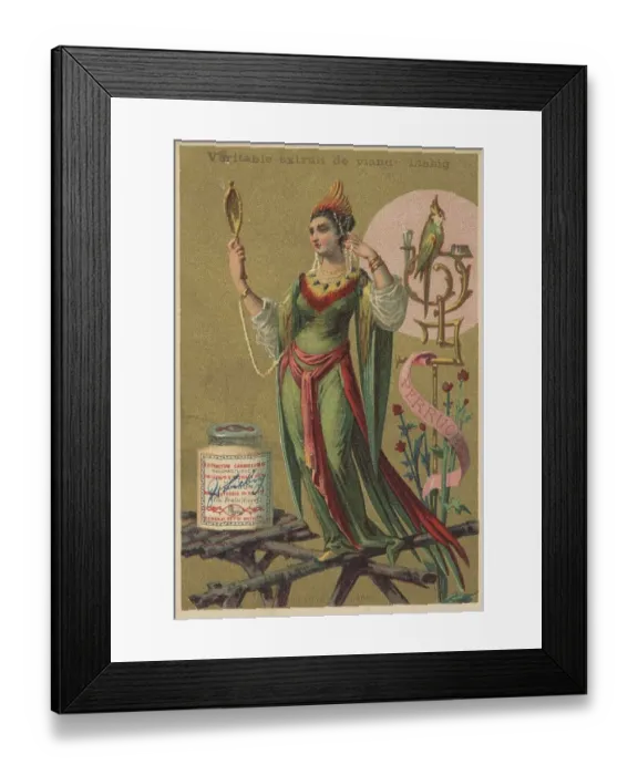 Framed Print : Picture series Birds 2, Parrot and a woman decorated with parrot feathers