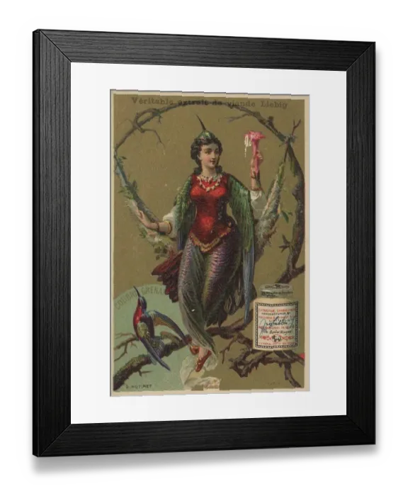 Framed Print : Picture series Birds 2, Garnet Hummingbird and a Woman with Hummingbird Feathers on a Swing