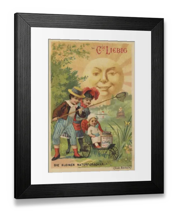 Framed Print : Picture series Sun pictures, the little naturalists with butterfly net Framed Print : Picture series Sun pictures, the little naturalists with butterfly net