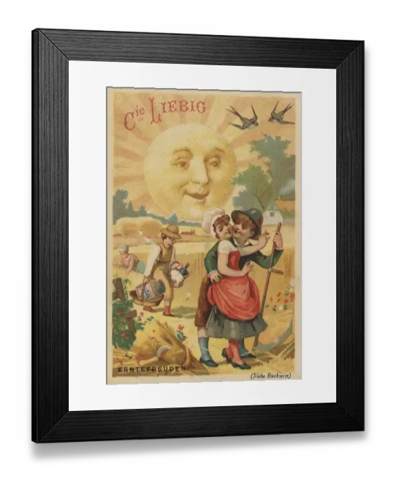 Framed Print : Picture series sun pictures, harvest joy on the grain field Framed Print : Picture series sun pictures, harvest joy on the grain field