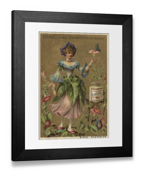 Framed Print : Picture series Flower Girl 2, Winch Framed Print : Picture series Flower Girl 2, Winch