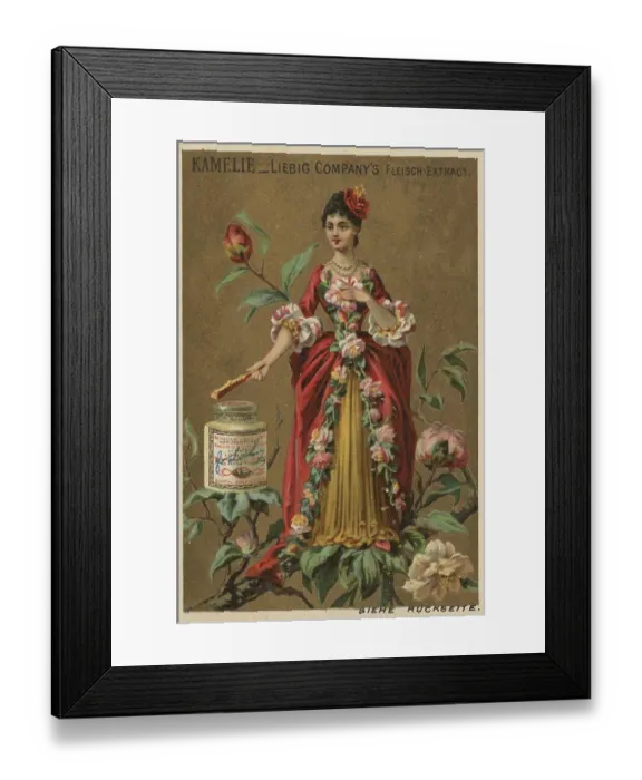 Framed Print : Picture series Flower Girl 2, Camellia Framed Print : Picture series Flower Girl 2, Camellia