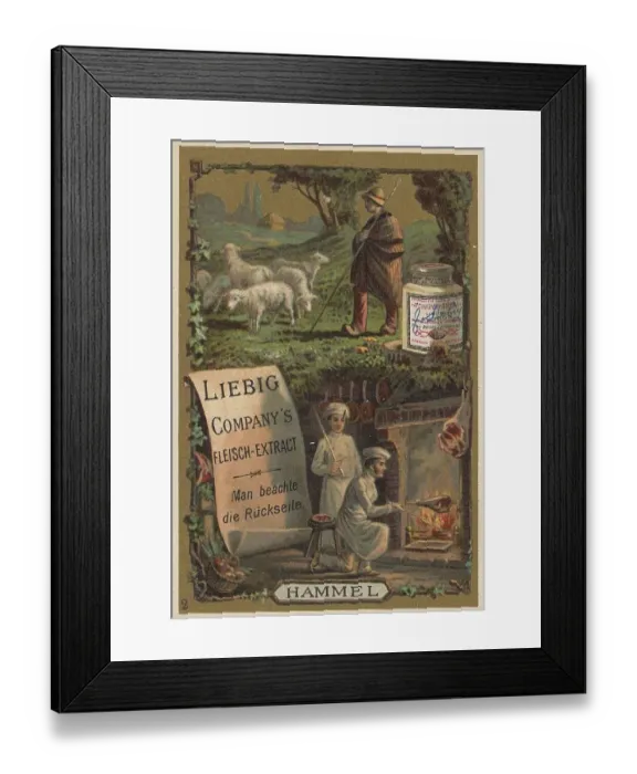 Framed Print : Picture series Cook and Cooks, Mutton