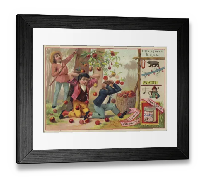 Framed Print : Picture series puzzle, many ripe apples fall from the tree and hit two boys sitting underneath Framed Print : Picture series puzzle, many ripe apples fall from the tree and hit two boys sitting underneath