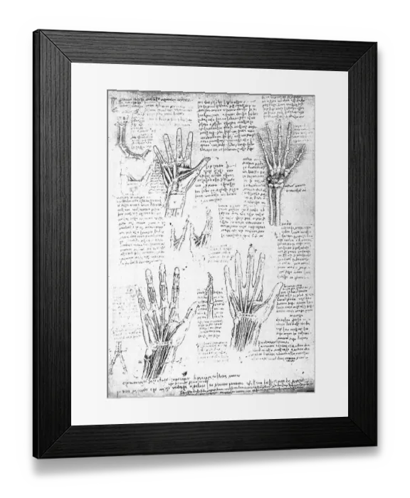 Framed Print : Anatomical Studies after Leonardo da Vinvi