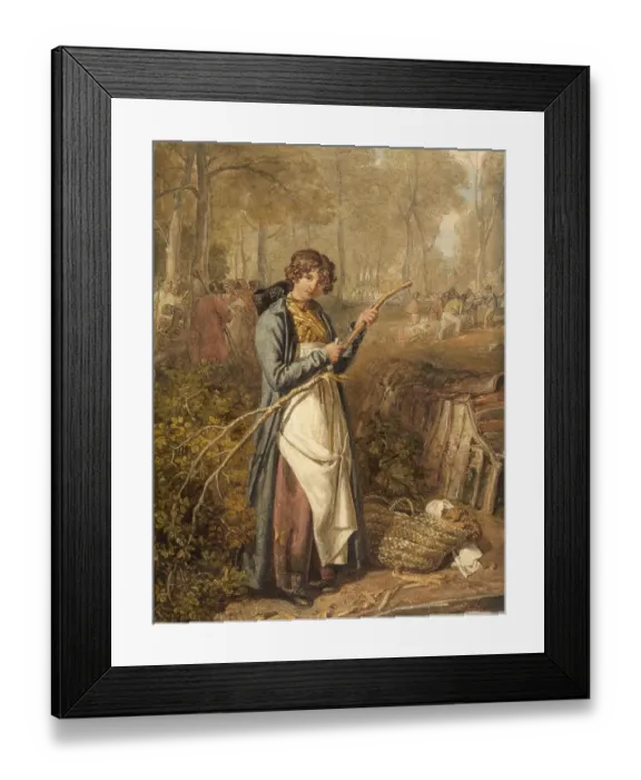 Framed Print : Woman peeling wood to extract the bark as a natural remedy Framed Print : Woman peeling wood to extract the bark as a natural remedy