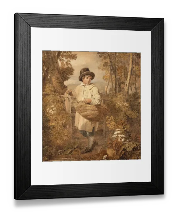 Framed Print : Boy Gathering Firewood in the Forest