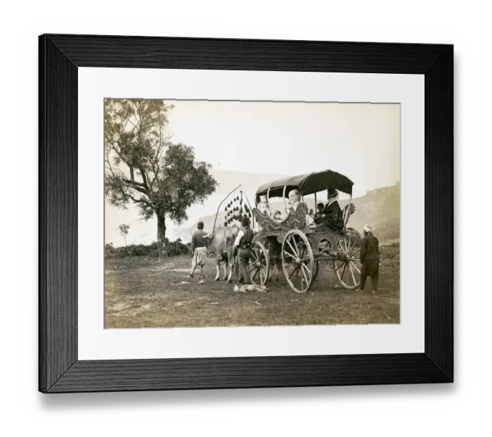 Framed Print : Turkish family going out in a carriage pulled by oxen