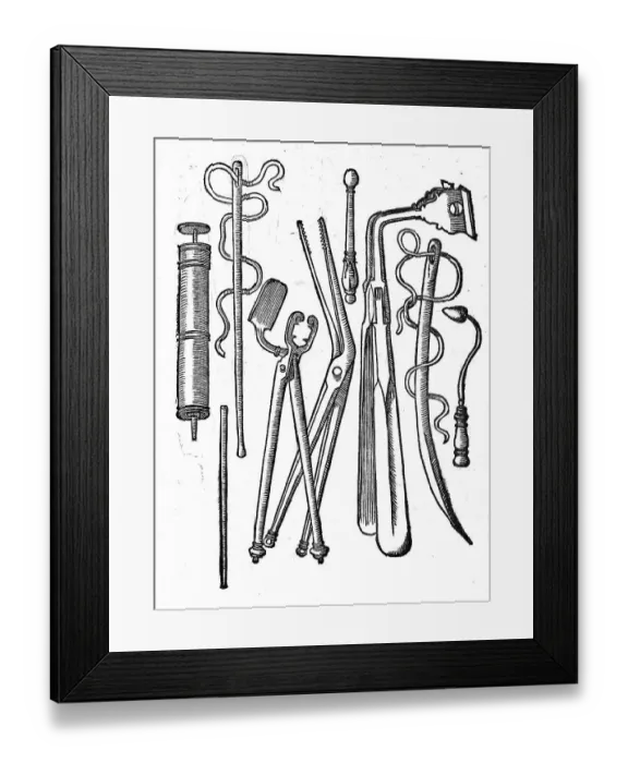 Framed Print : Medicine, Anatomy, Surgical Instruments for Use in Military Surgery