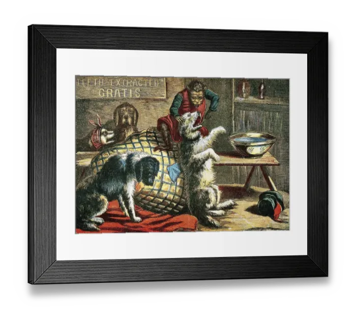 Framed Print : Medicine, Anatomy, Interior View of a Dentist's Office with Animal Participants