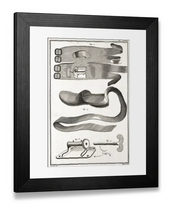 Framed Print : Medicine, anatomy, surgery, surgical instruments c