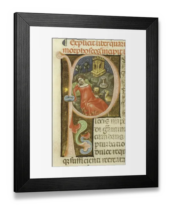 Framed Print : Psyche in Cupid's Grove, 1345 Illustration of the metamorph Framed Print : Psyche in Cupid's Grove, 1345 Illustration of the metamorph