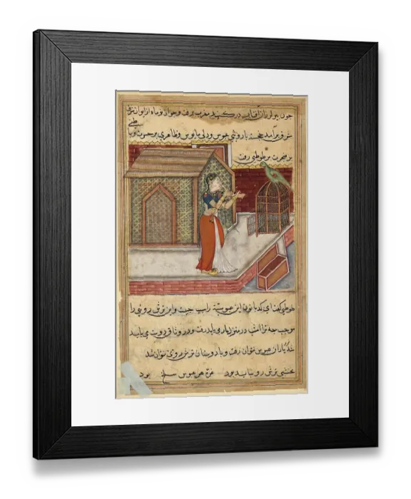Framed Print : The parrot addresses Khujasta at the beginning of the forty-ninth night Framed Print : The parrot addresses Khujasta at the beginning of the forty-ninth night