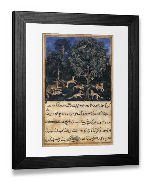 Framed Print : The mother parrot warns her young of the danger of playing with foxes Framed Print : The mother parrot warns her young of the danger of playing with foxes
