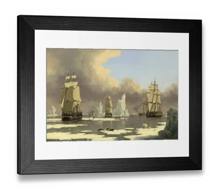 Framed Print : Whaling in the North, the Whaling Ships Swan and Isabella Framed Print : Whaling in the North, the Whaling Ships Swan and Isabella