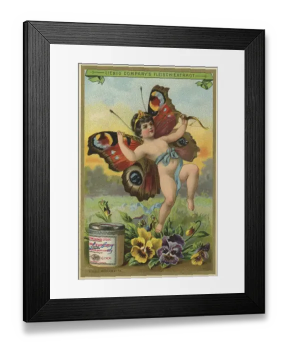 Framed Print : Peacock butterfly under pansies Framed Print : Peacock butterfly under pansies