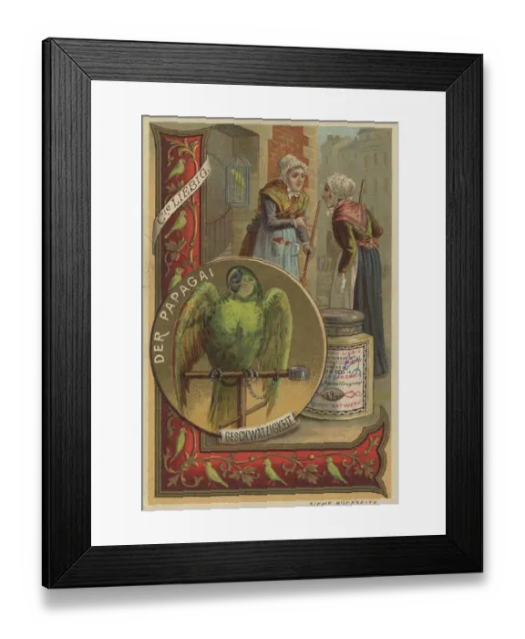 Framed Print : The Parrot for Chattiness, digitally restored reproduction of a public domain collector's picture from ca 1900