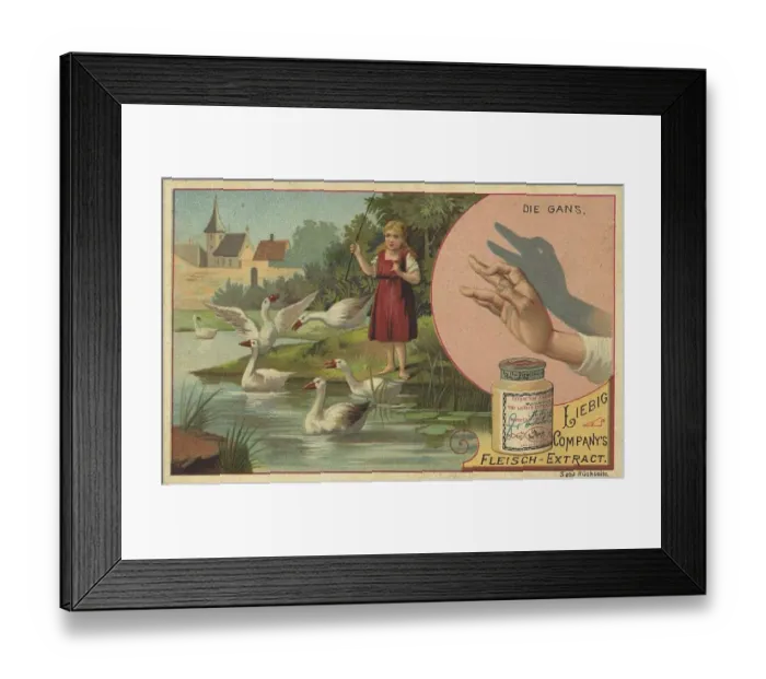 Framed Print : Goose, digitally restored reproduction of a public domain collective picture from ca 1900