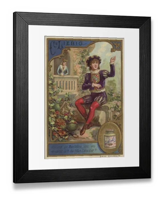 Framed Print : Liebig series of picture puzzles XIV
