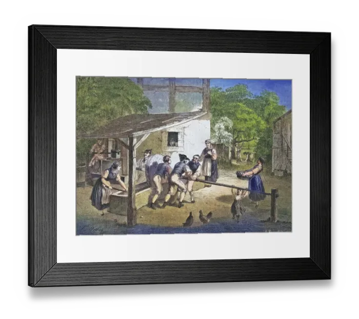 Framed Print : Pressing cider in Swabia, Germany Framed Print : Pressing cider in Swabia, Germany