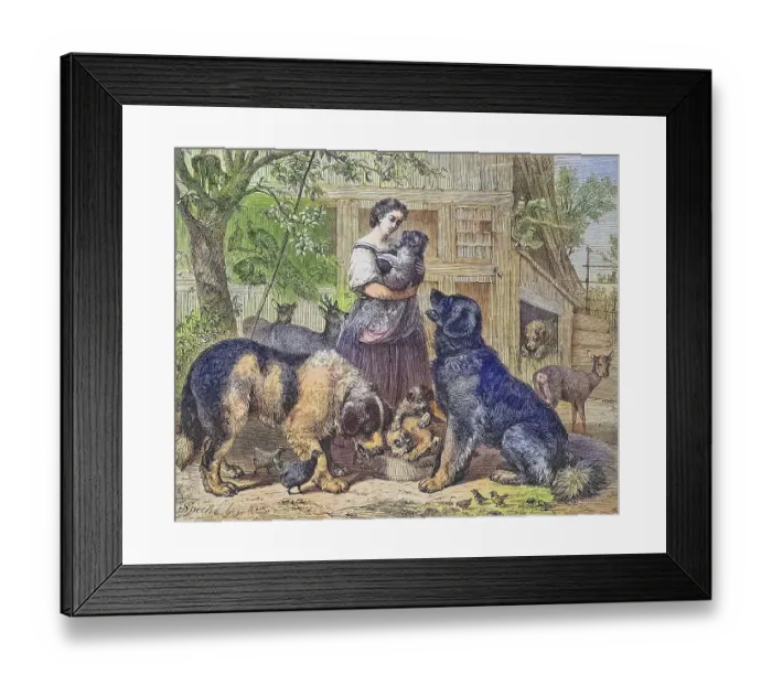 Framed Print : Woman with dogs, animal shelter Framed Print : Woman with dogs, animal shelter