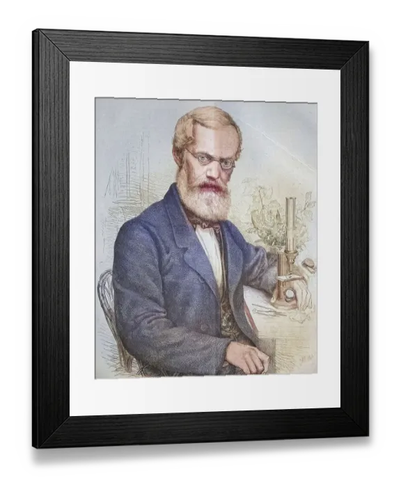 Framed Print : Emil Adolf Rossmaessler, also Emil Adolph Rossmaessler Framed Print : Emil Adolf Rossmaessler, also Emil Adolph Rossmaessler