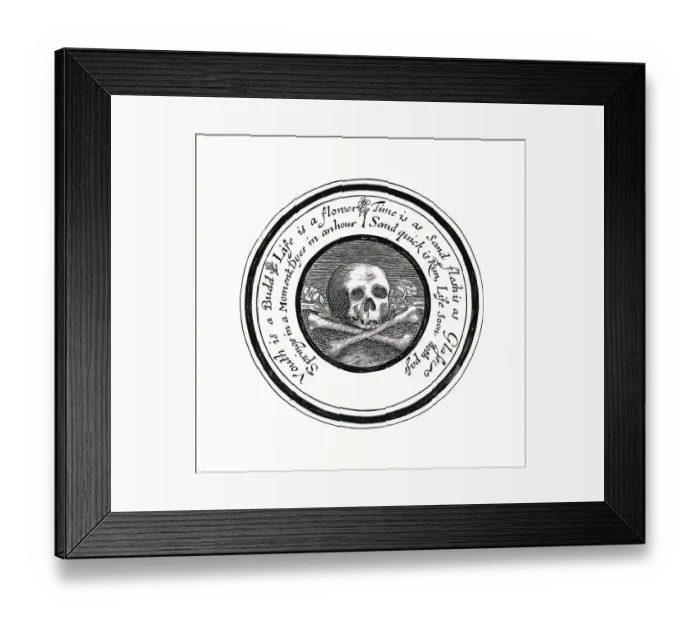 Framed Print : Medicine, anatomy, skull, human skull Framed Print : Medicine, anatomy, skull, human skull