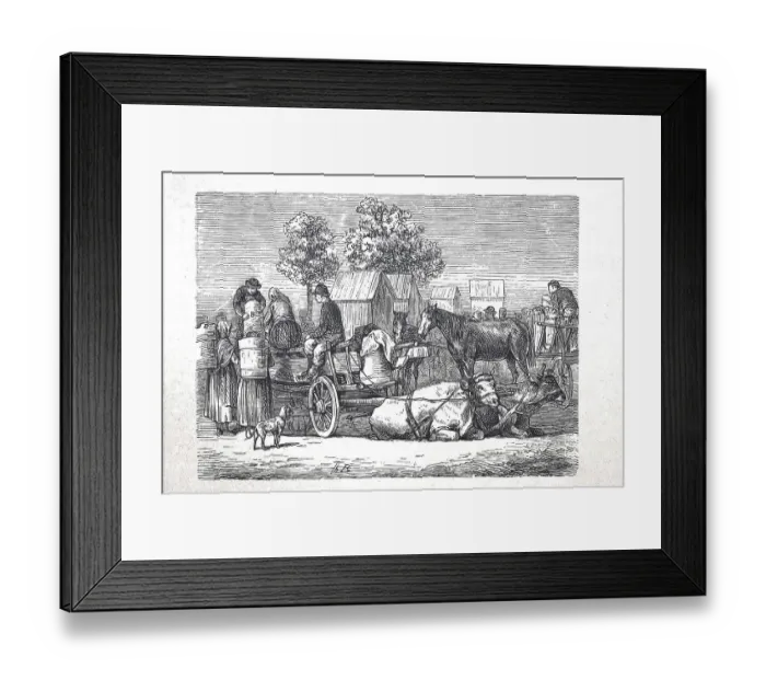 Framed Print : Market wagon with cows as draught animals