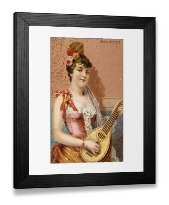 Framed Print : Musical instruments, Woman playing a musical instrument