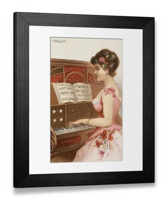 Framed Print : Musical instruments, Woman playing a musical instrument