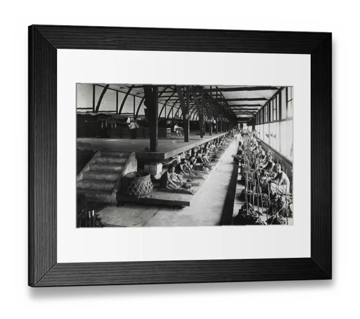 Framed Print : Indian workers sorting tobacco leaves under the supervision of Europeans in a fermentation shed in Sumatra