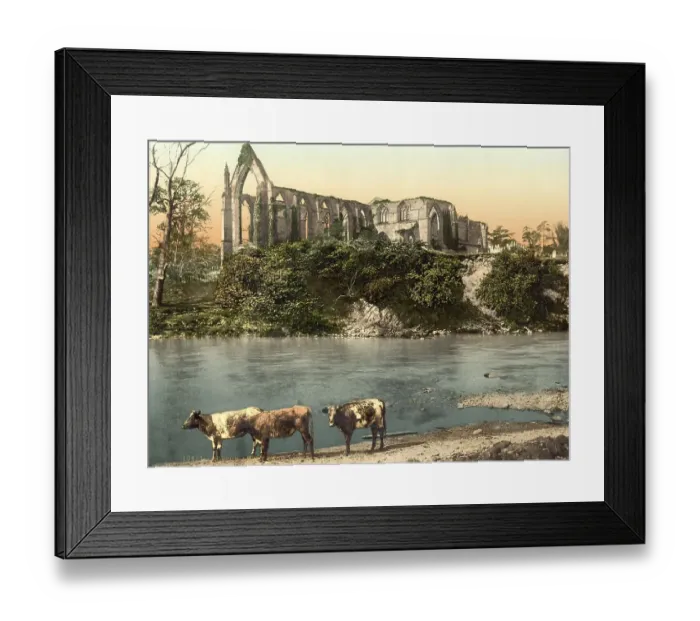 Framed Print : Bolton Abbey, Ruin of a 12th century monastery in Yorkshire