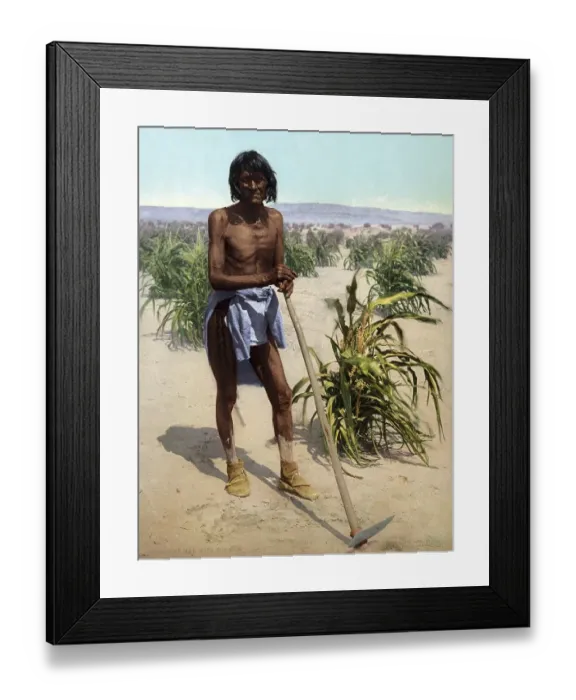 Framed Print : Man with a hoe in a sugar cane field Framed Print : Man with a hoe in a sugar cane field