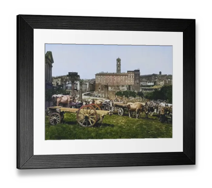 Framed Print : Roman Forum, seen from the Farnesi Garden Framed Print : Roman Forum, seen from the Farnesi Garden