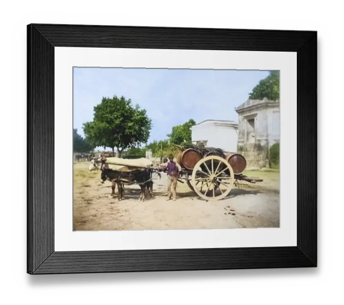 Framed Print : Winegrower with a cart drawn by an ox and a donkey