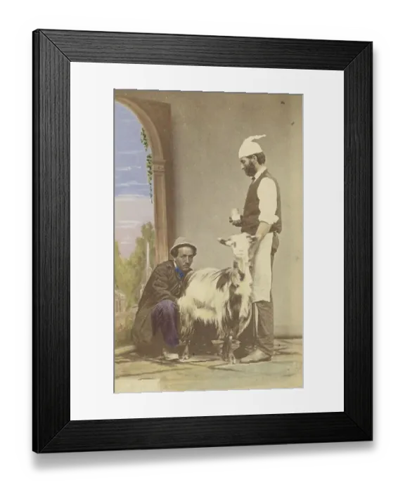 Framed Print : Two men with a goat, one of the men milking
