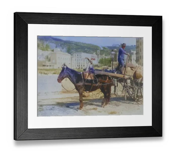 Framed Print : Peasant with a horse cart, street scene in Naples in 1878