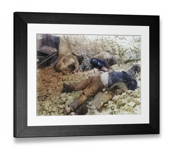 Framed Print : Victims of an earthquake, 1883
