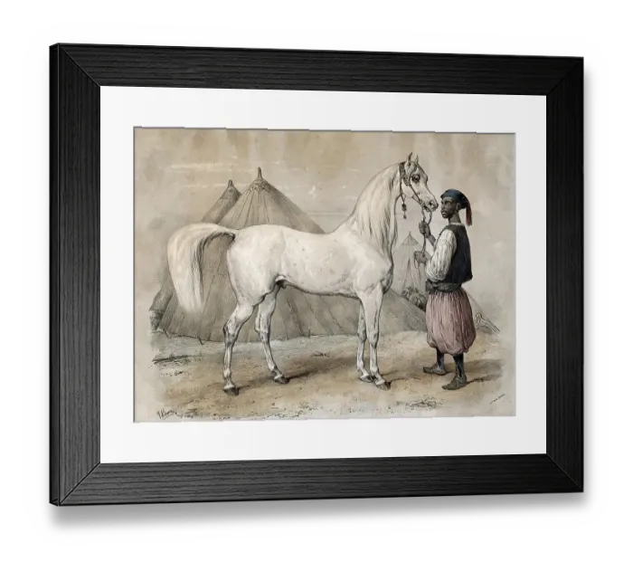 Framed Print : A servant in oriental dress holds a white Arabian horse by the reins