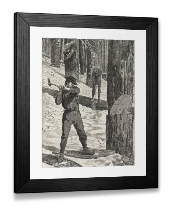 Framed Print : Woodcutter working in the forest in winter Framed Print : Woodcutter working in the forest in winter